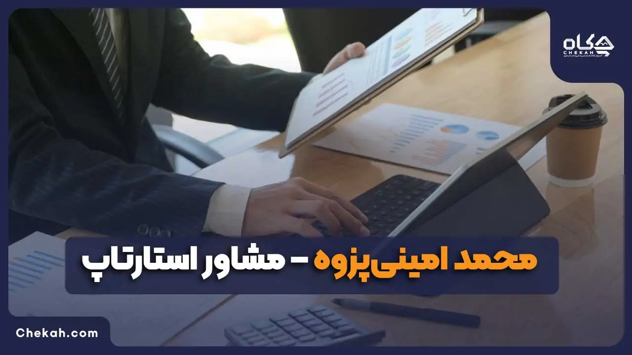 مشاور مالیاتی محمد امینیپزوه – مشاور استارتاپها