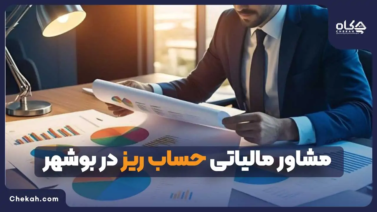 مشاور مالیاتی حساب ریز در بوشهر
