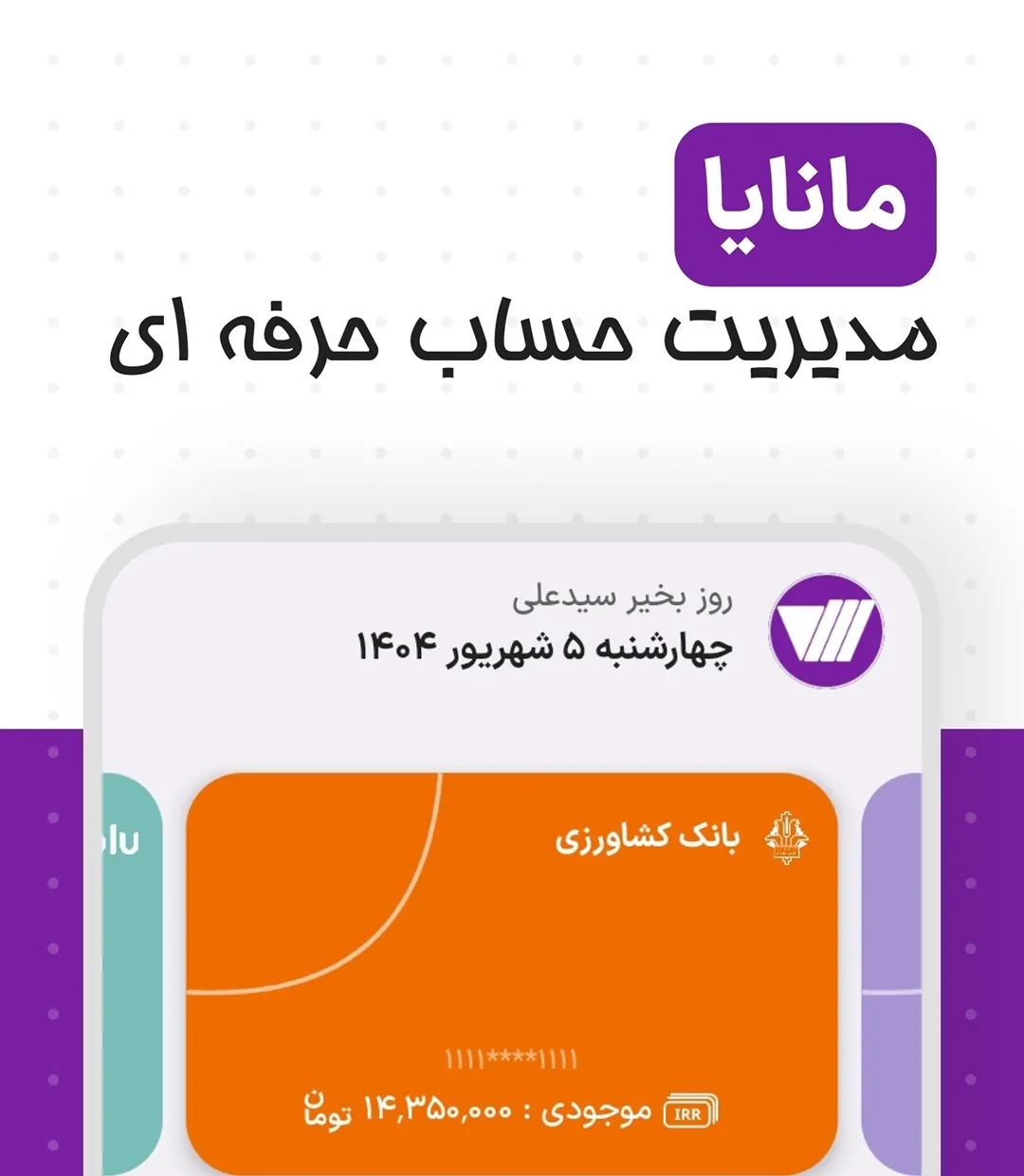 نرمافزار حسابداری مانایا